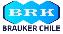 Cliente Brauker Chile