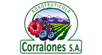 Cliente Corralones
