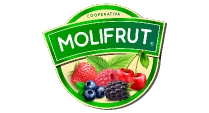 Cliente Molifrut