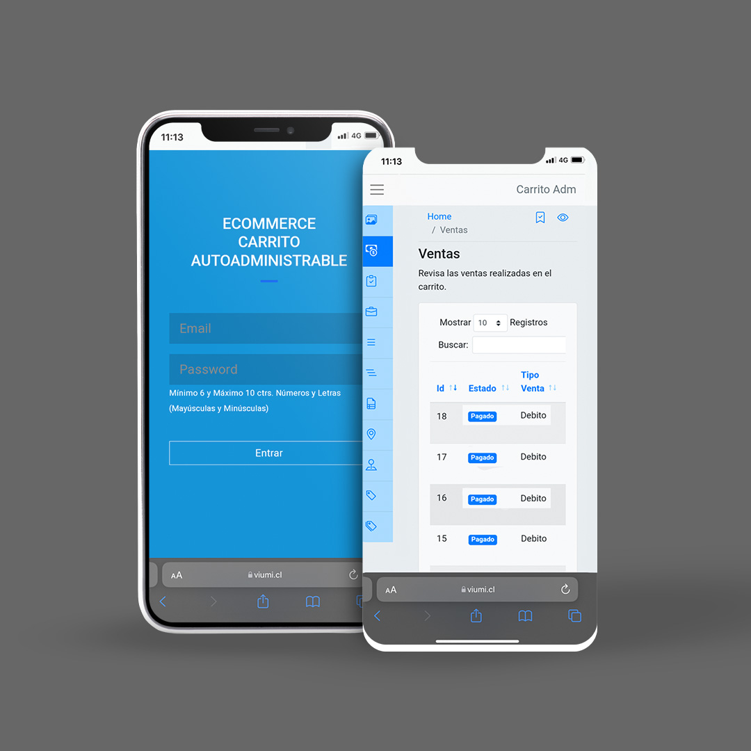 Comience a vender en línea con nuestro Sistema eCommerce